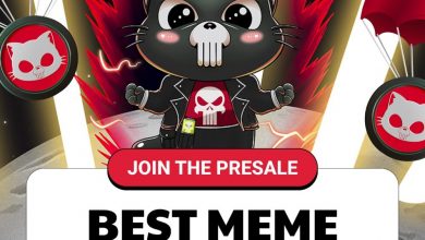 how-to-get-rich-with-crypto!-these-3-top-meme-coins-could-be-the-way-to-go!
